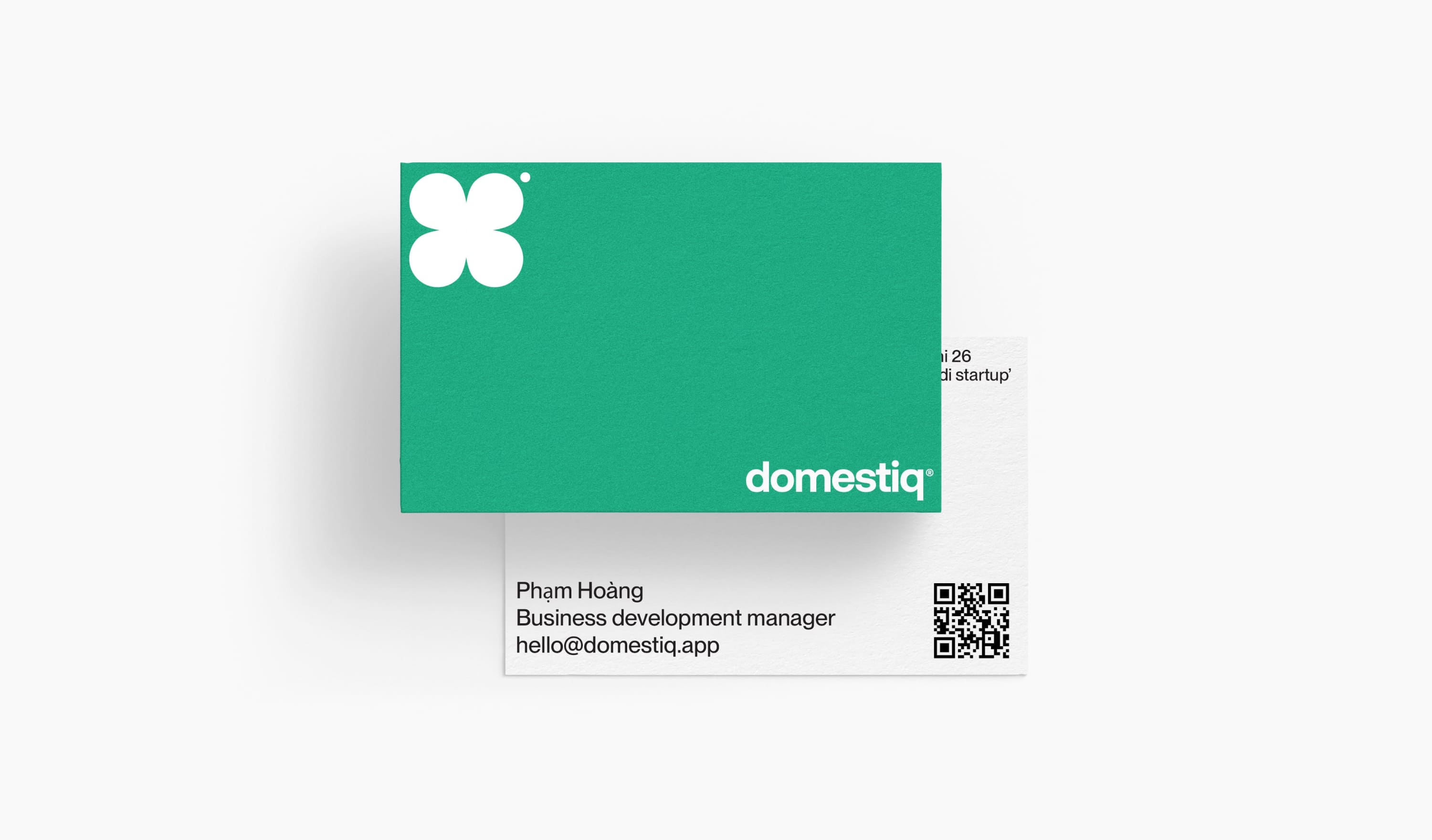 Domestiq identity